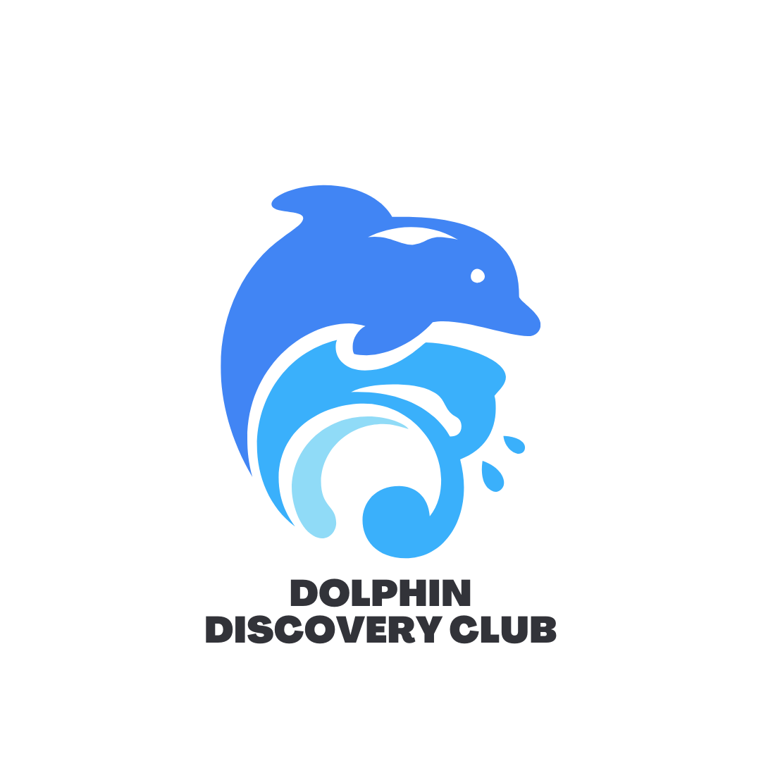 Dolphin Discovery Club Flyer (Instagram Post) (2) Short Avenue - Dolphin Discovery logo